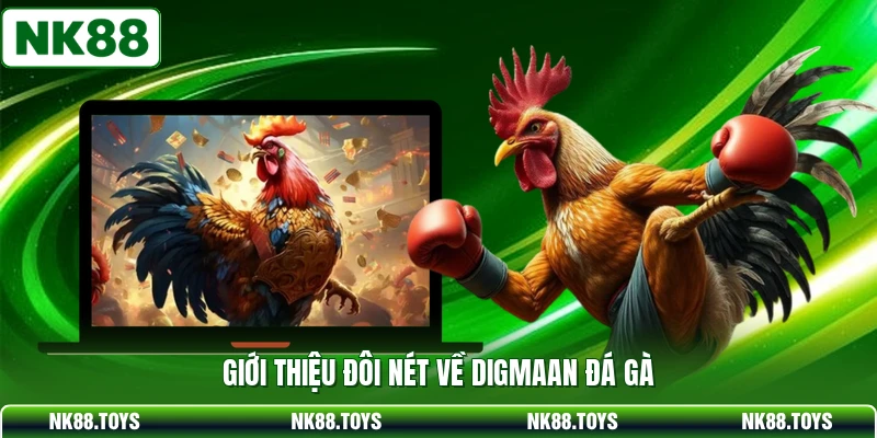 Giới thiệu đôi nét về Digmaan đá gà